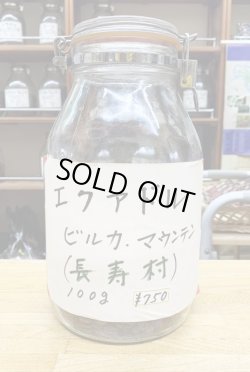 画像1: エクアドル